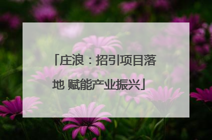 庄浪：招引项目落地 赋能产业振兴